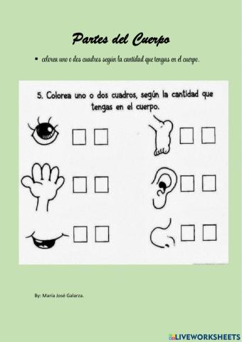 Partes del cuerpo humaano