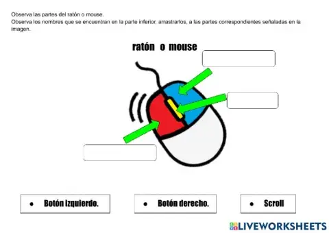 Partes del ratón o mouse.
