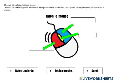 Partes del ratón o mouse.