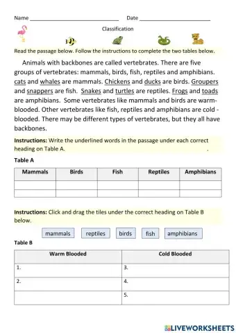 Vertebrates (Classification)