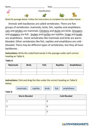 Vertebrates (Classification)