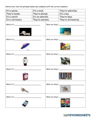 Singular & Plural (a, an)