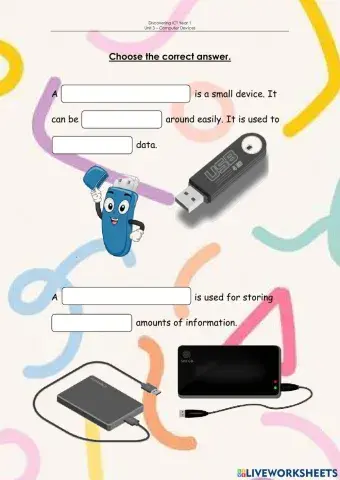 USB Flash Drive and Portable Hard Disk