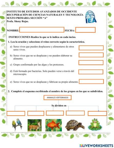 Clasificación de los seres vivos