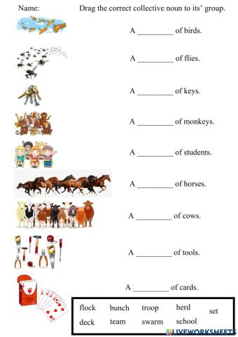 Collective Nouns