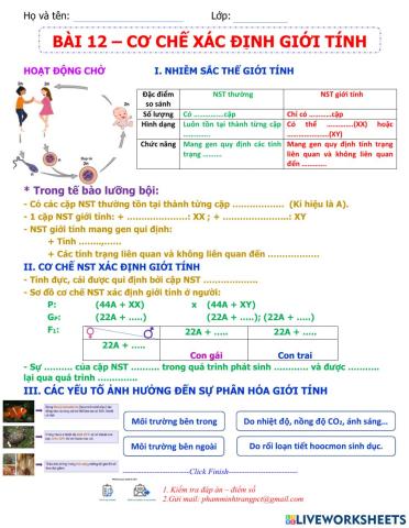 Cơ chế xác định giới tính