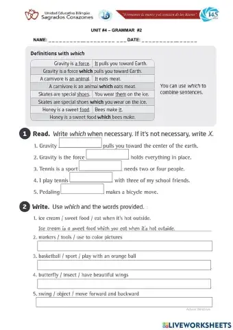 Relative Clause which