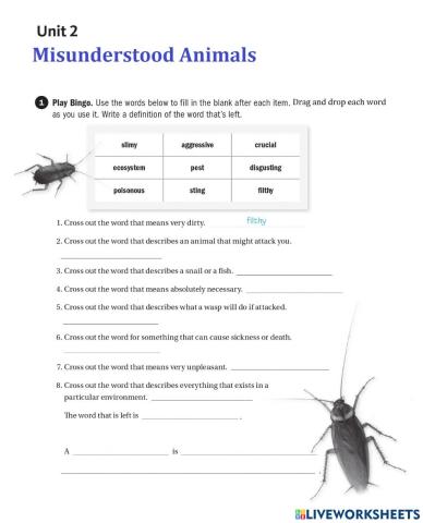 U2 Vocabulary practice