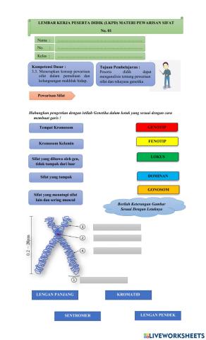 Pewarisan sifat pertama