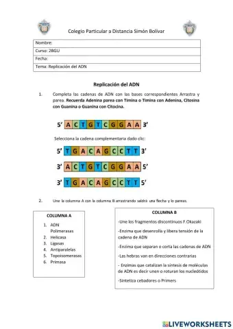 Replicación del ADN