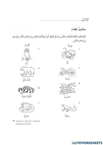 سلاسل الغذاء