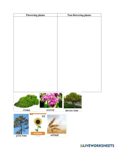 U3: Flowering-non flowering plants