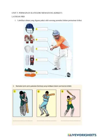 PJPK T2: Unit 5: Kriket