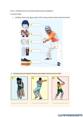 PJPK T2: Unit 5: Kriket