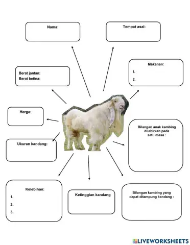 Kambing Jamnapari (rujuk Buku Teks BM ms 168)