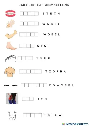 Spelling difficult parts of the body