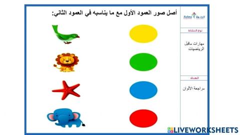 مهارات ماقبل لرياضيات