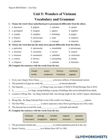 Grade 9: Unit 5: Wonders of Viet Nam - NBK school