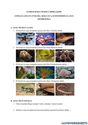 LKPD Animalia (Filum Annelida, Mollusca, Echinodermata, Arthropoda)