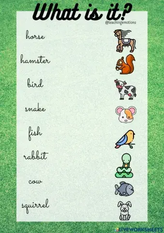 What is it? Animals vocabulary