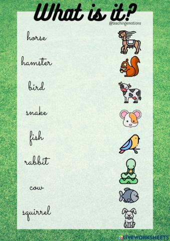 What is it? Animals vocabulary