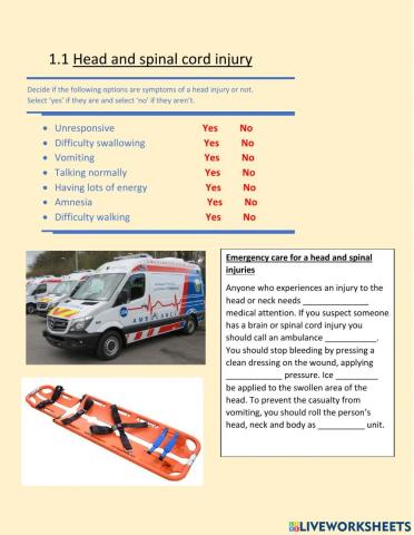 Head and spinal cord injuries