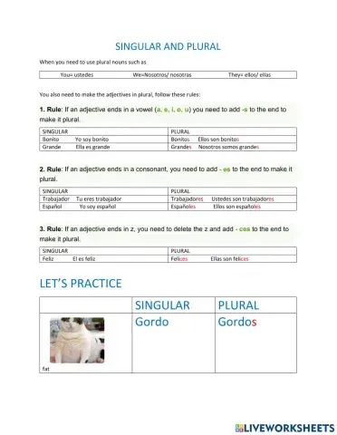 Pluarl adjectives in spanish