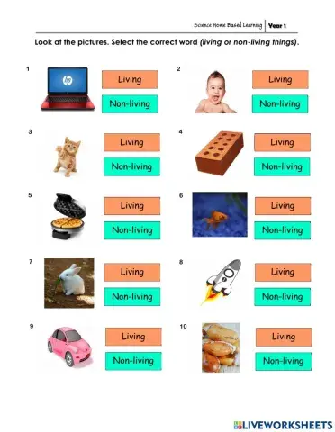 Living or Non Living things