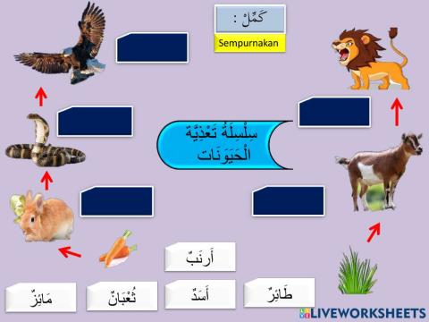 Bahasa Arab Tahun 5 ( Rantaian makanan Haiwan )