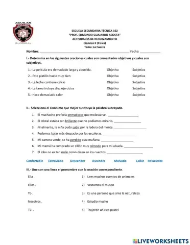 Subjetivo, objetivo, Sinónimos y pronombres