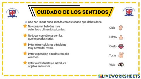 Cuidado de los sentidos