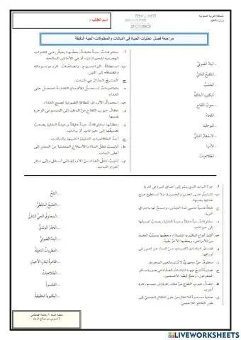 مراجعة مفردات فصل عمليات الحياة في النبات والمخلوقات الدقيقة