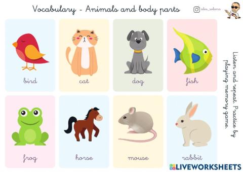 Vocabulary Animals and body parts