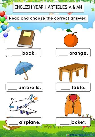English Year 1 articles a an