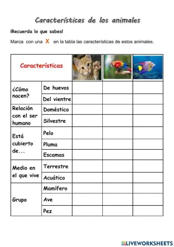 Característicad de los Animales