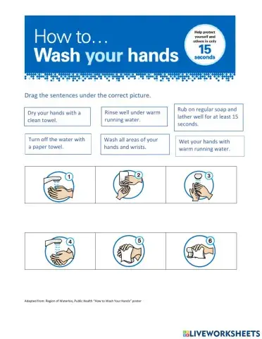 How to Wash Your Hands