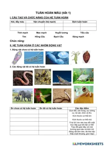 Tuần hoàn máu- tiết 1