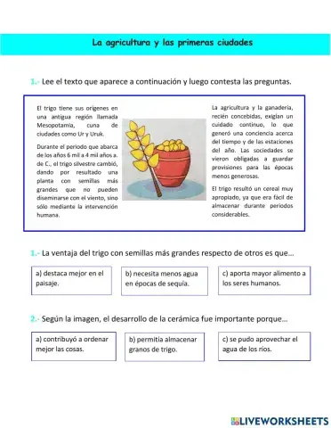 La agricultura y las primeras ciudades