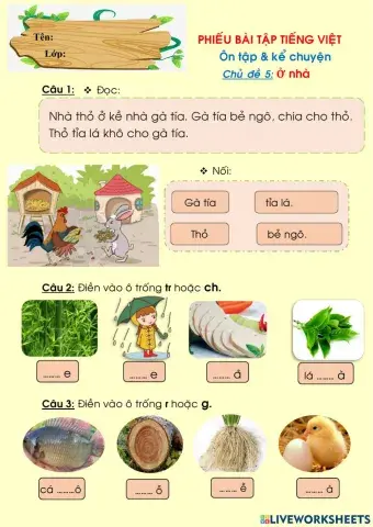 TIẾNG VIỆT - KỂ CHUYỆN CĐ 5