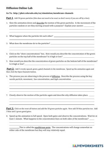 PHET Simulator Lab Diffusion