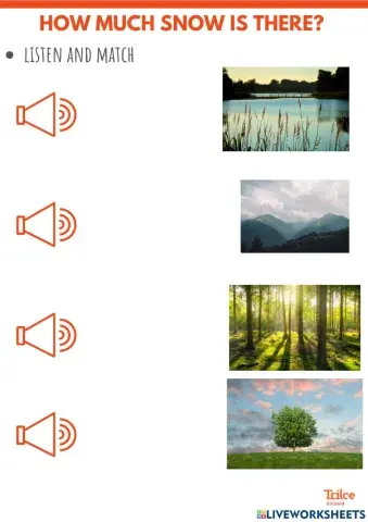 How much snow is there?