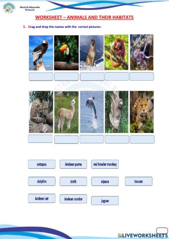 Animals and their habitats