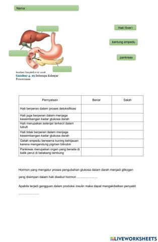 LKPD Pencernaan Tambahan