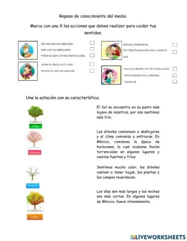 Repaso conocimiento del medio