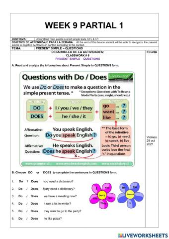 Present Simple questions and answers