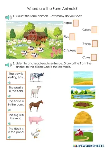 Where Are the Farm Animals?