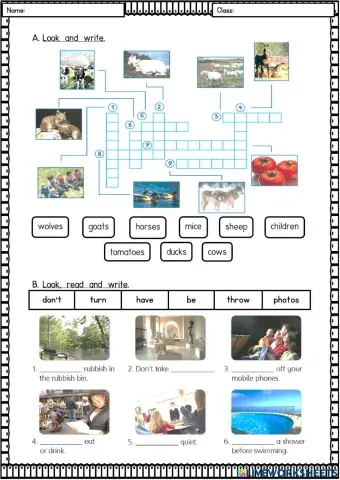 Module 7: Out and About (Revision)