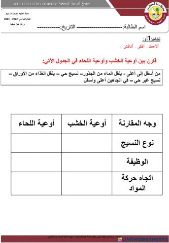 اوعية النقل