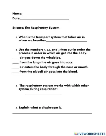 Respiratory system
