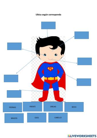 Partes del cuerpo básico para niños